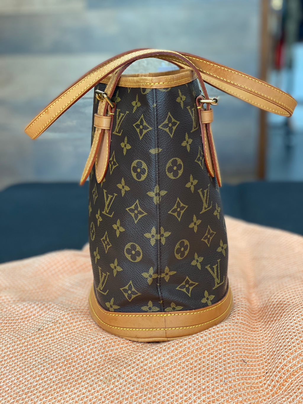 Louis Vuitton Brown Monogram Petit Bucket Leather Cloth ref.597376 - Joli  Closet